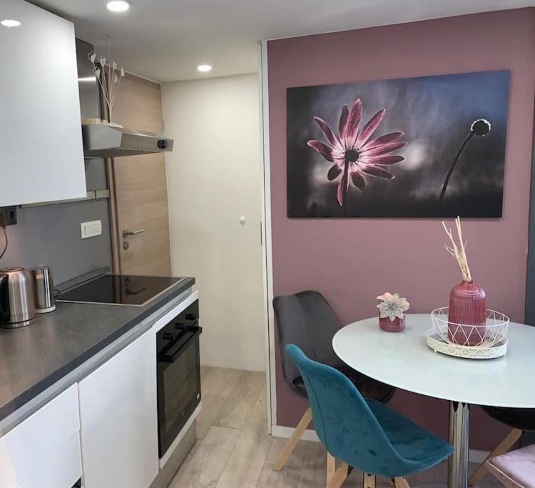 Apartament Nice Apartmet N&N Zadar Zewnętrze zdjęcie